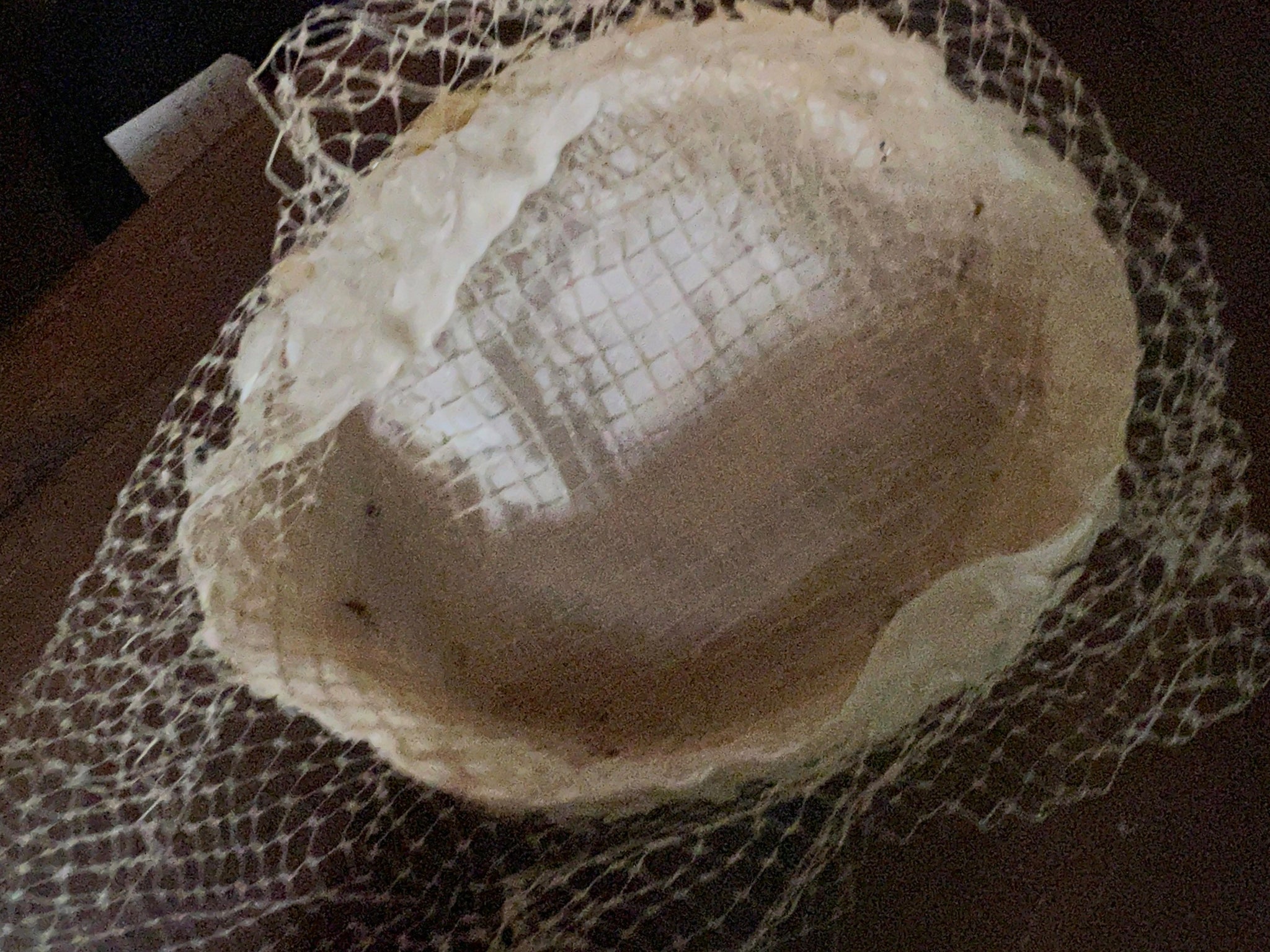 Vintage 60's daisy pillbox hat with net