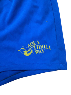 Vintage 80's blue polyester swim men’s shorts L