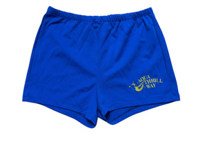 Vintage 80's blue polyester swim men’s shorts L
